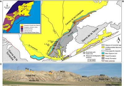 Potential Fossilized Sulfide-Oxidizing Bacteria in the Upper Miocene Sulfur-Bearing Limestones From the Lorca Basin (SE Spain): Paleoenvironmental Implications